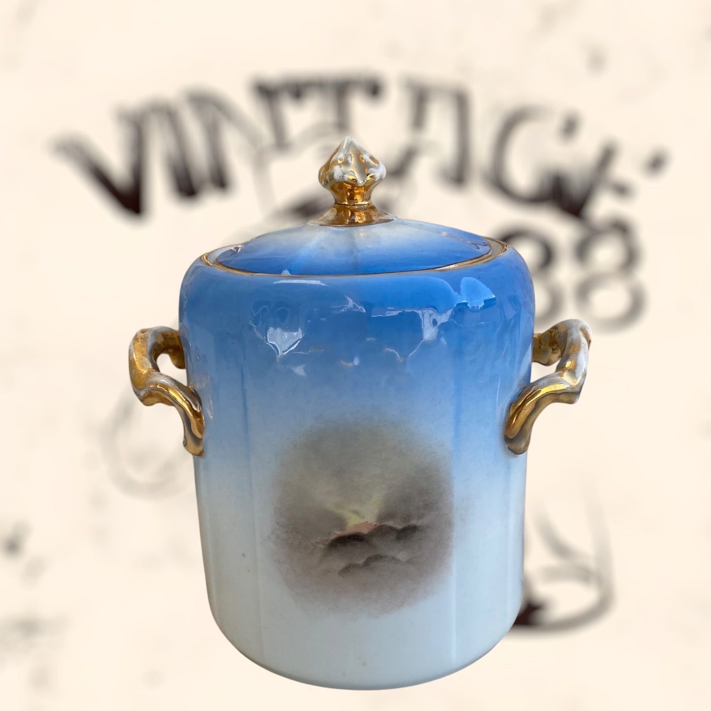 Juego de Té de porcelana Limoges (Albert Pillivuyt) S. XIX