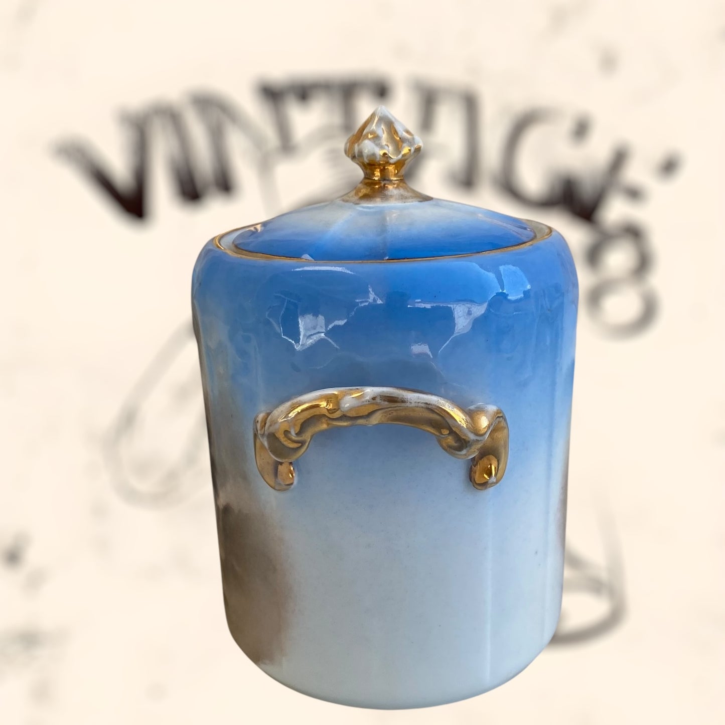 Juego de Té de porcelana Limoges (Albert Pillivuyt) S. XIX