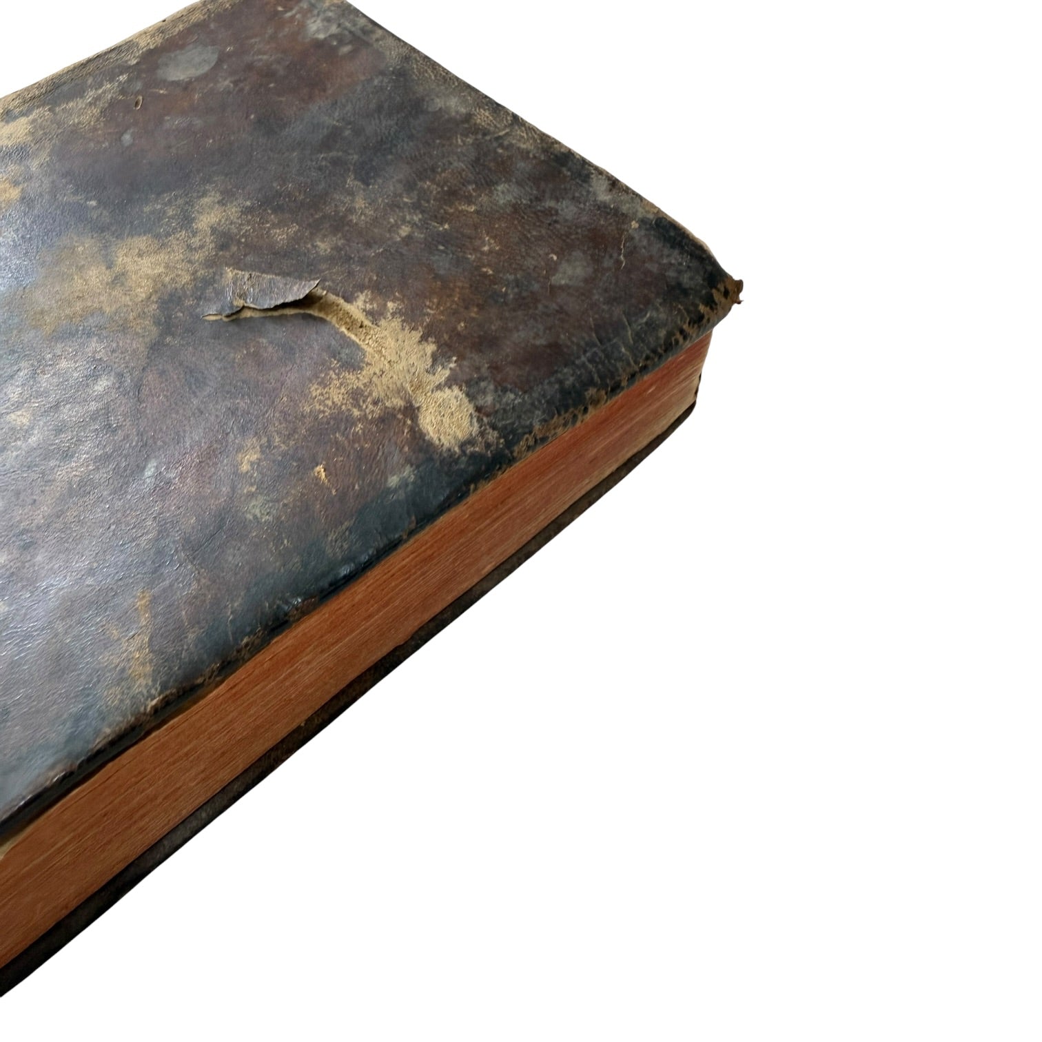 Libro Comento de P. Ovidio Nasón a los libros de Tristes y Ponto de 1733