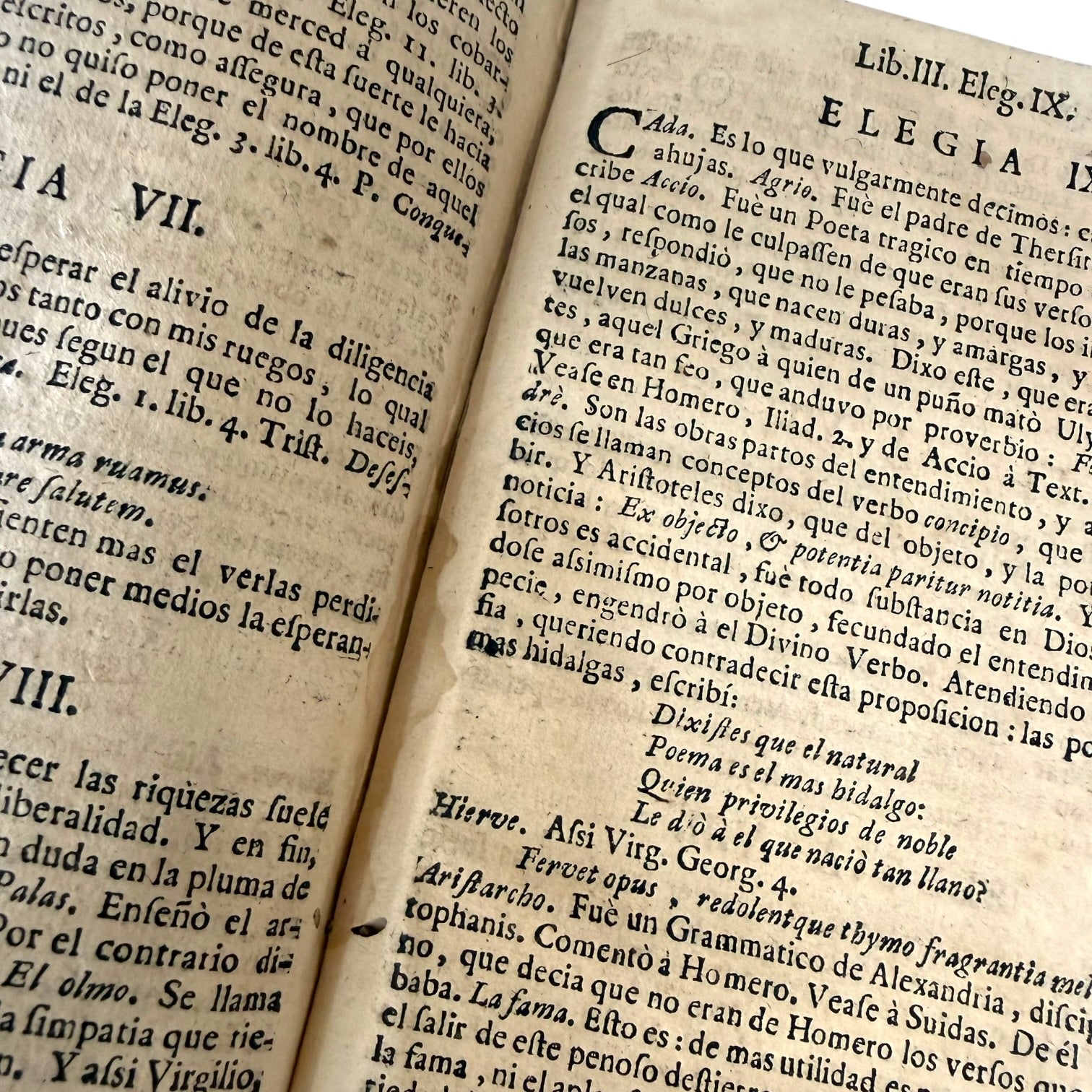 Libro Comento de P. Ovidio Nasón a los libros de Tristes y Ponto de 1733
