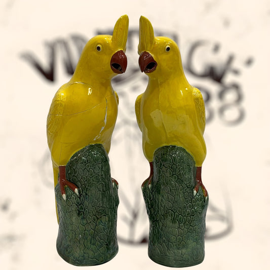 Pareja de Cacatúas de porcelana China antigua