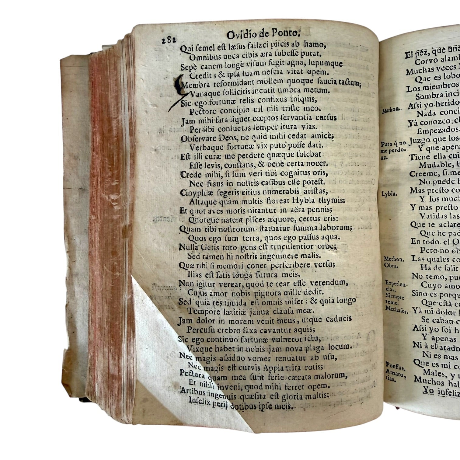 Libro Comento de P. Ovidio Nasón a los libros de Tristes y Ponto de 1733