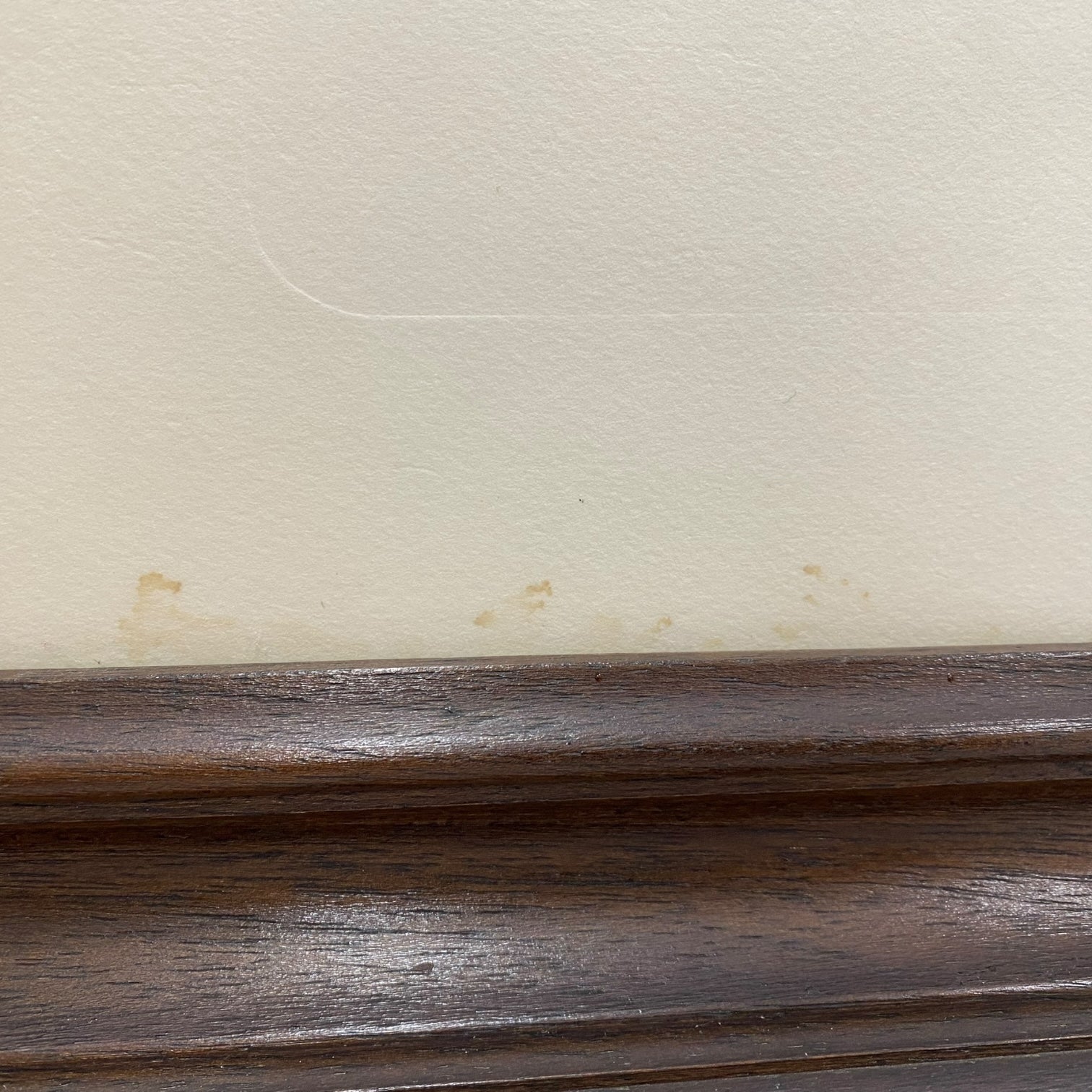 Grabado de Emilio D. Castelar firmado y numerado a lápiz