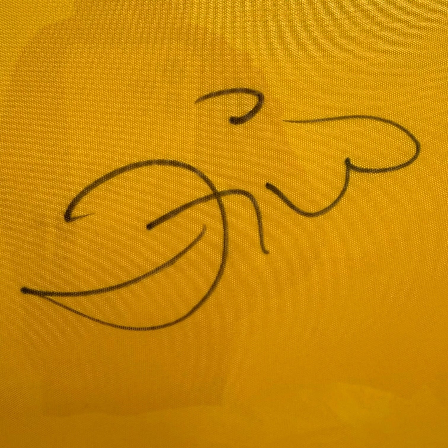 Camiseta de Brasil con autógrafo de Zico original certificado enmarcada