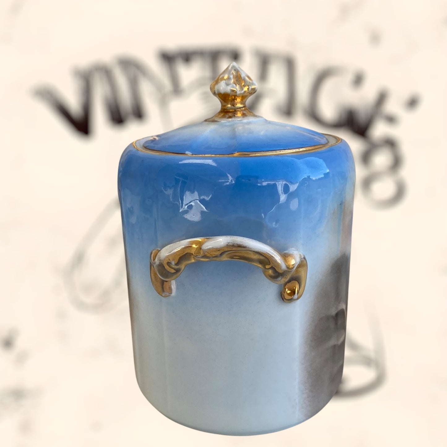 Juego de Té de porcelana Limoges (Albert Pillivuyt) S. XIX