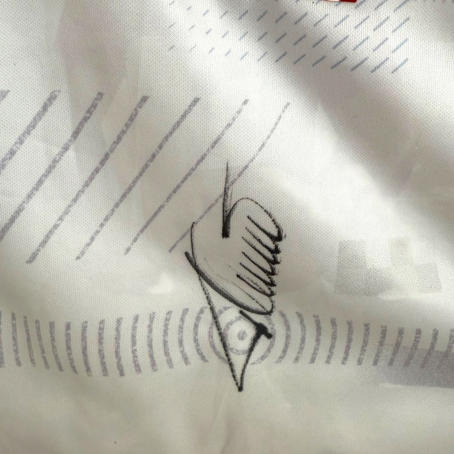 Camiseta del Tottenham con autógrafo de Simon Davies original certificado enmarcada