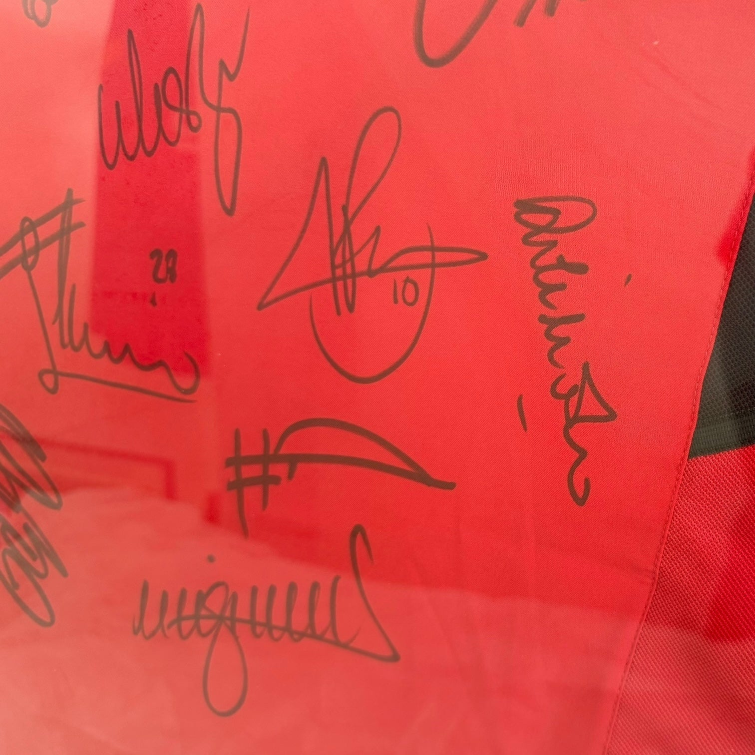 Camiseta del Manchester United con autógrafos de C. Ronaldo, Ferdinand, Van Nistelrooy, Giggs, Keane, Scholes, etc… originales certificados.