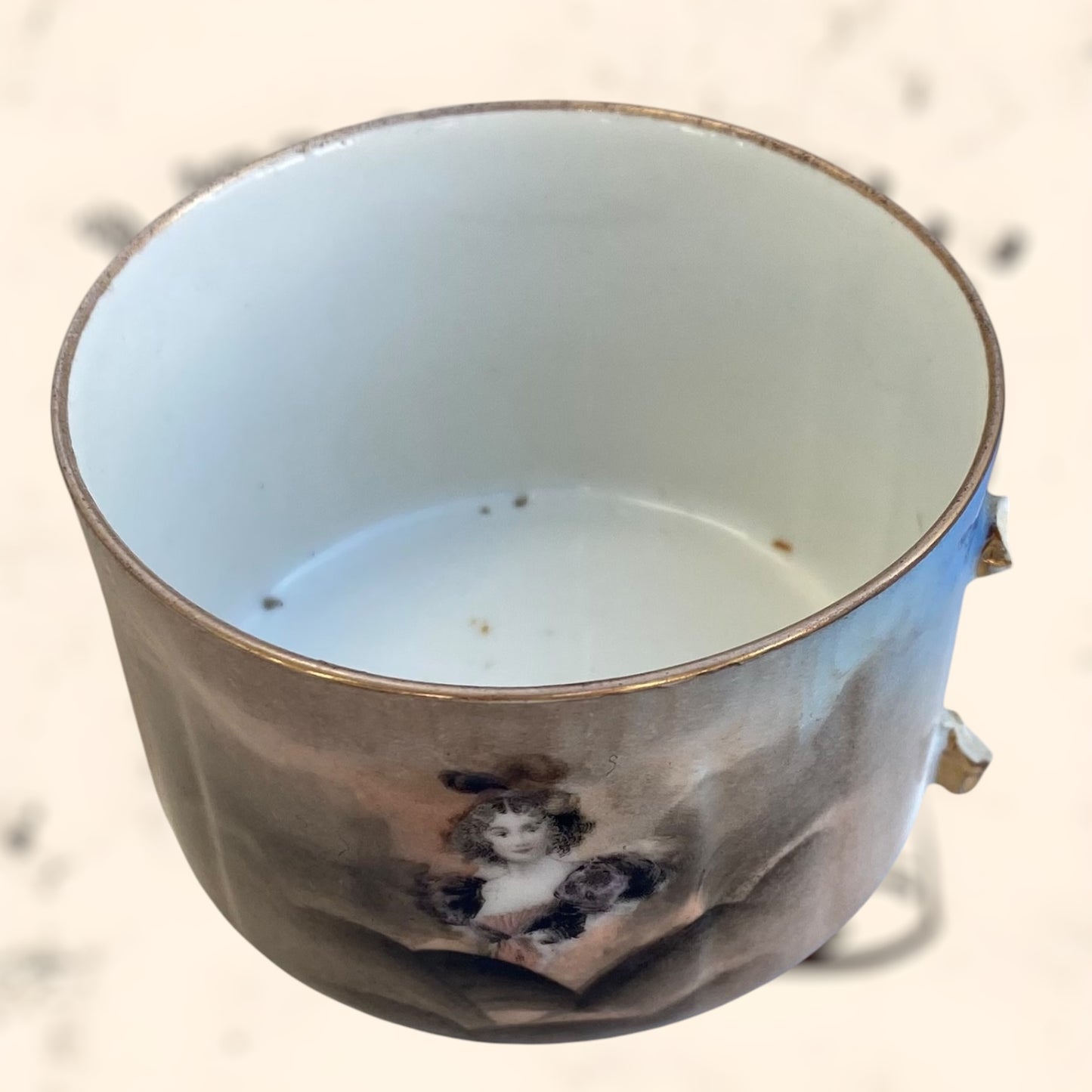 Juego de Té de porcelana Limoges (Albert Pillivuyt) S. XIX
