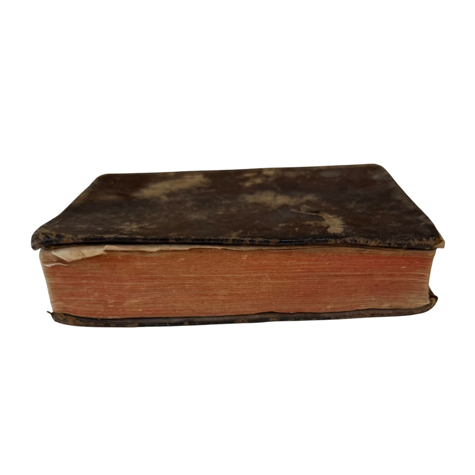 Libro Comento de P. Ovidio Nasón a los libros de Tristes y Ponto de 1733