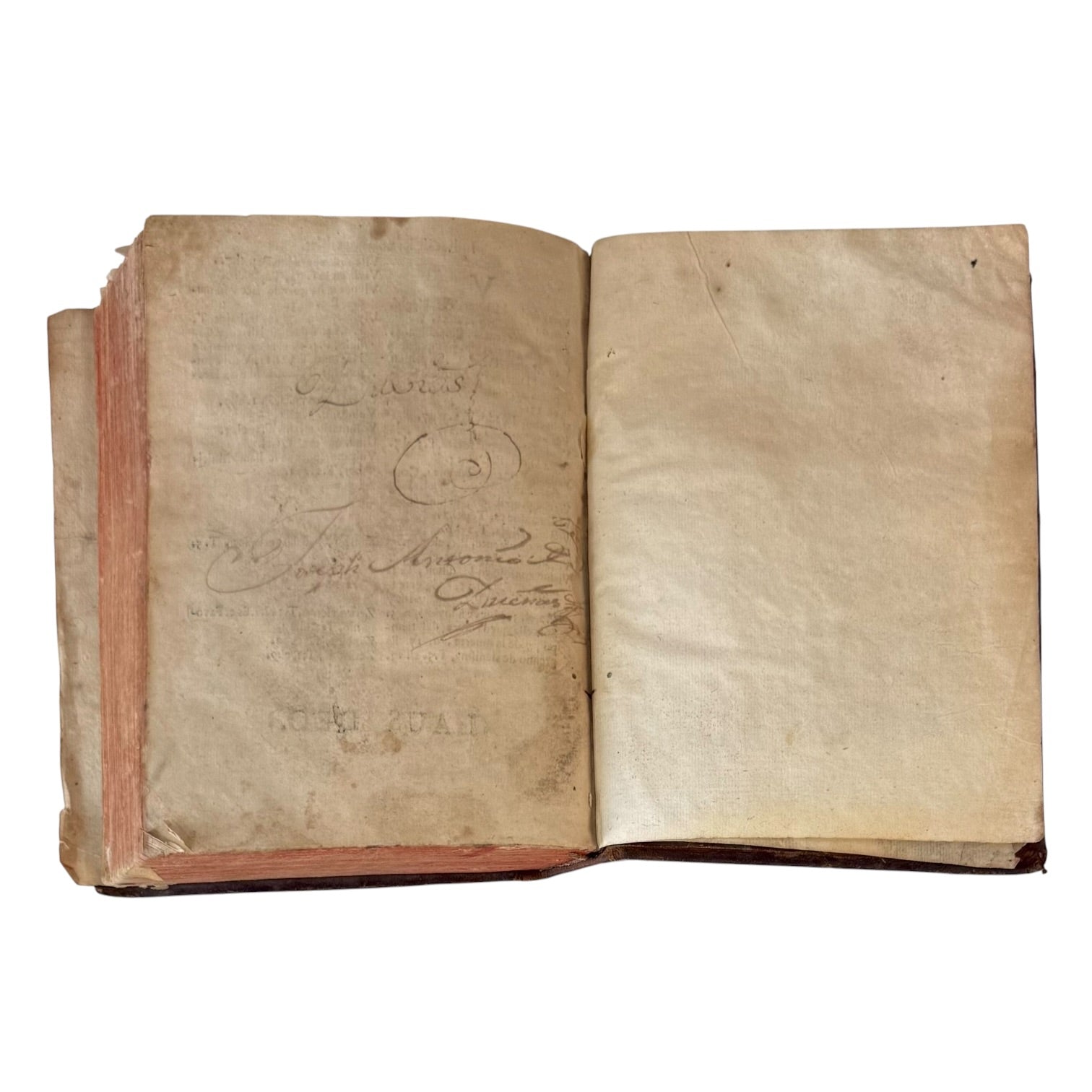 Libro Comento de P. Ovidio Nasón a los libros de Tristes y Ponto de 1733