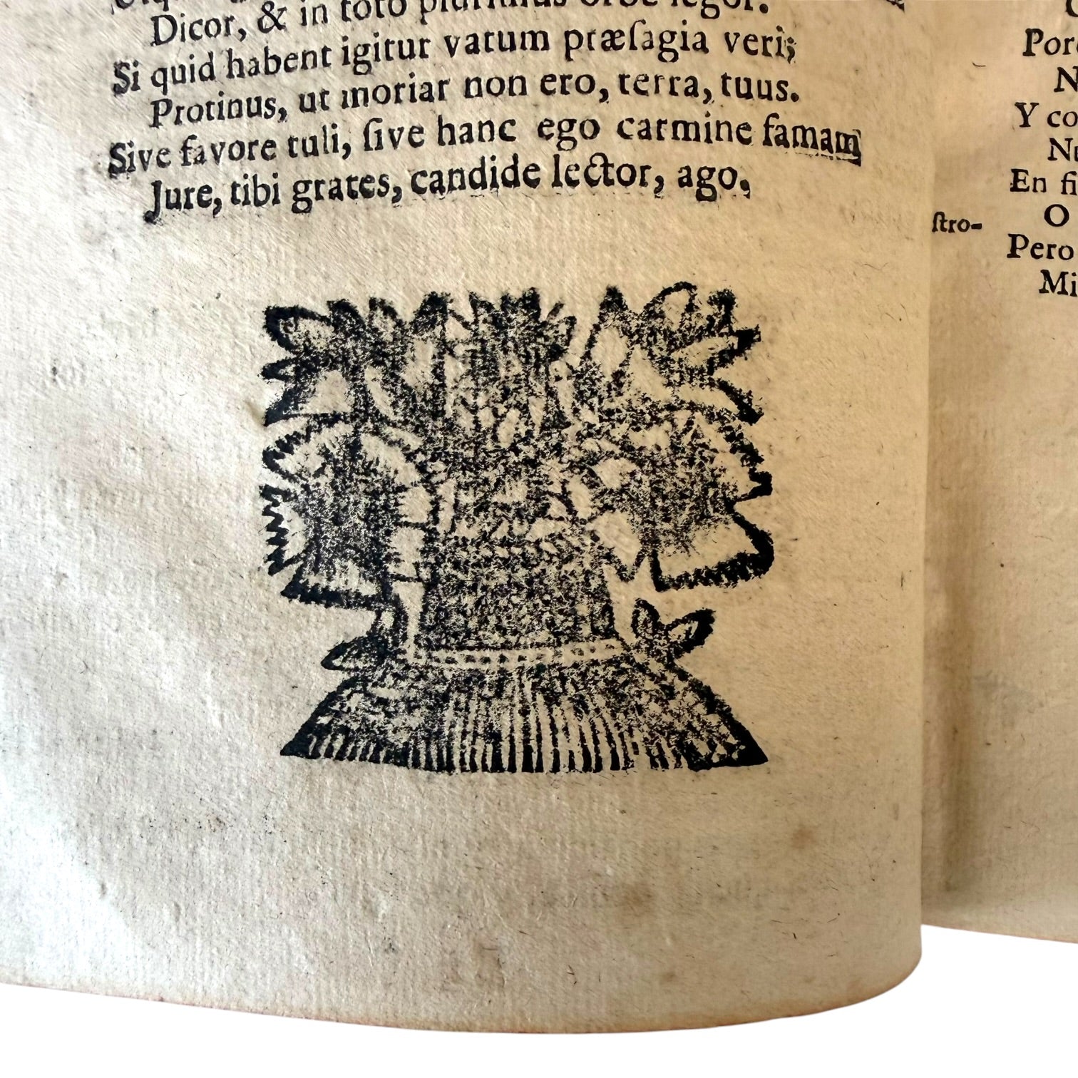 Libro Comento de P. Ovidio Nasón a los libros de Tristes y Ponto de 1733