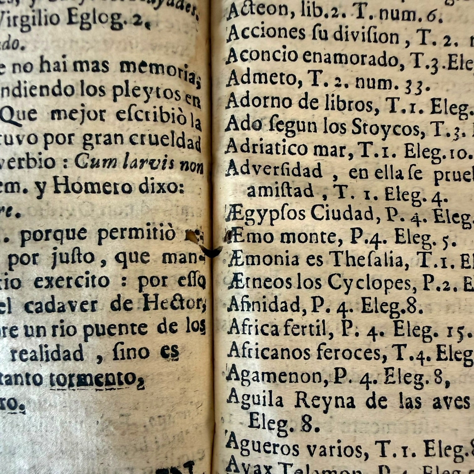 Libro Comento de P. Ovidio Nasón a los libros de Tristes y Ponto de 1733