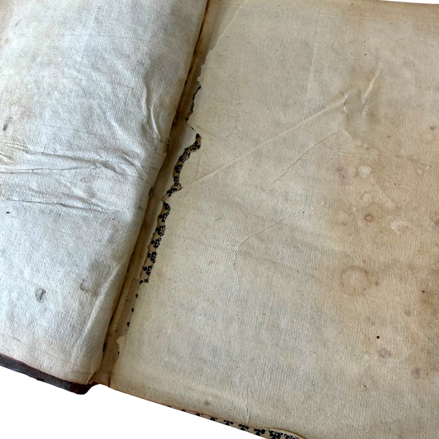 Libro Comento de P. Ovidio Nasón a los libros de Tristes y Ponto de 1733