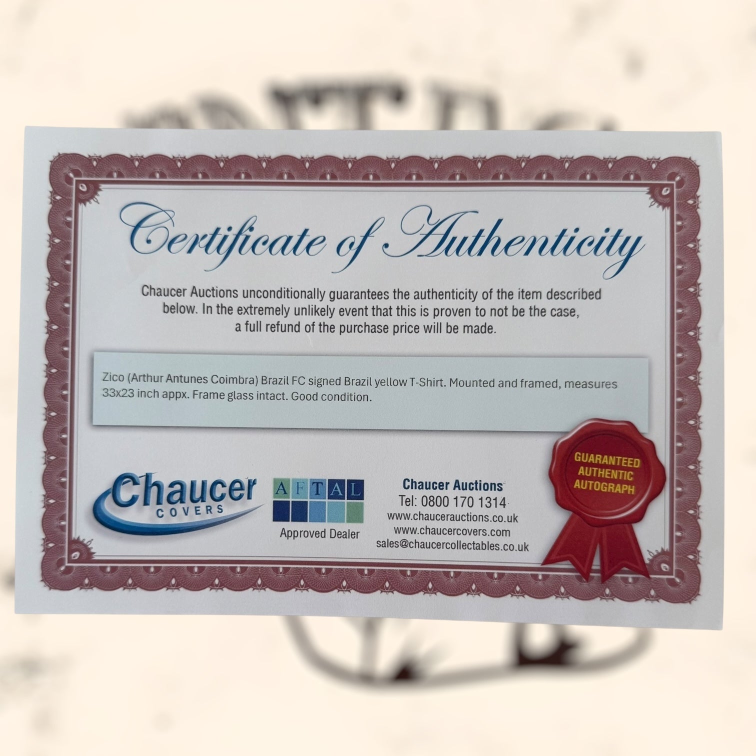 Camiseta de Brasil con autógrafo de Zico original certificado enmarcada