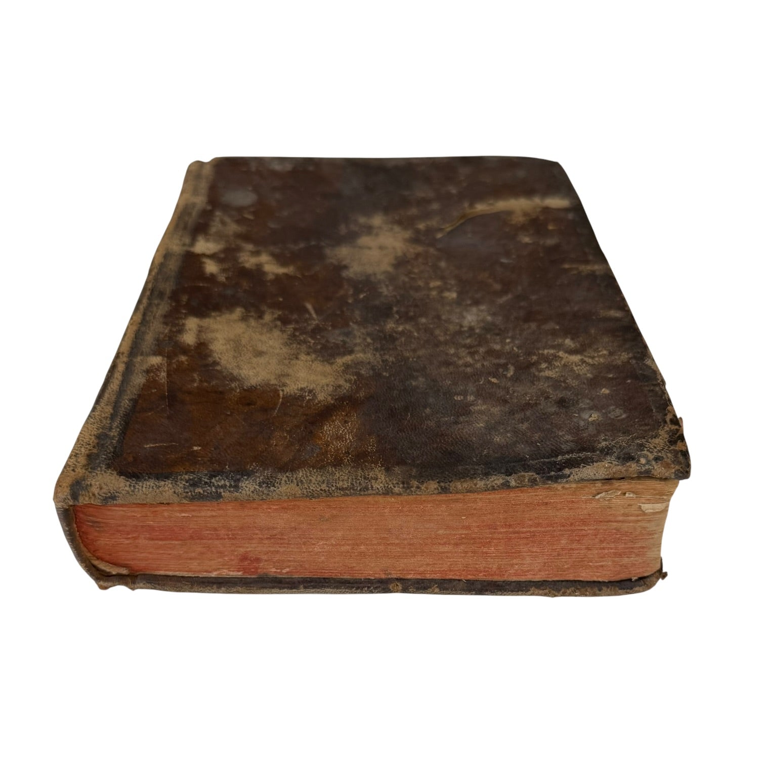 Libro Comento de P. Ovidio Nasón a los libros de Tristes y Ponto de 1733