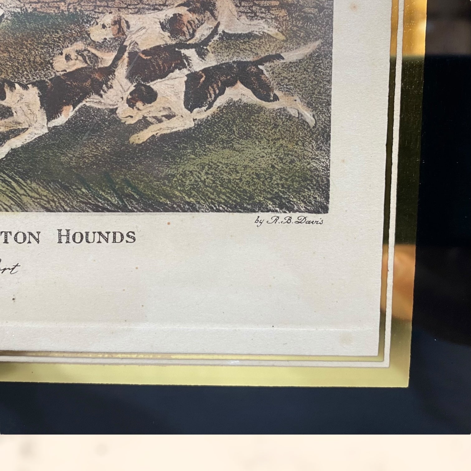 Pareja de grabados coloreados de Richard Barrett Davis antiguos