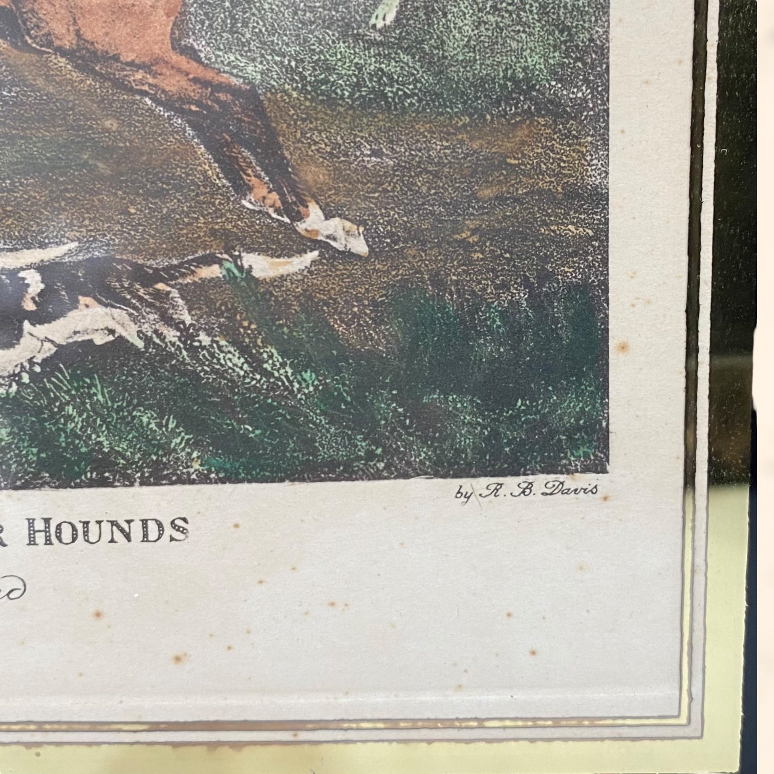 Pareja de grabados coloreados de Richard Barrett Davis antiguos