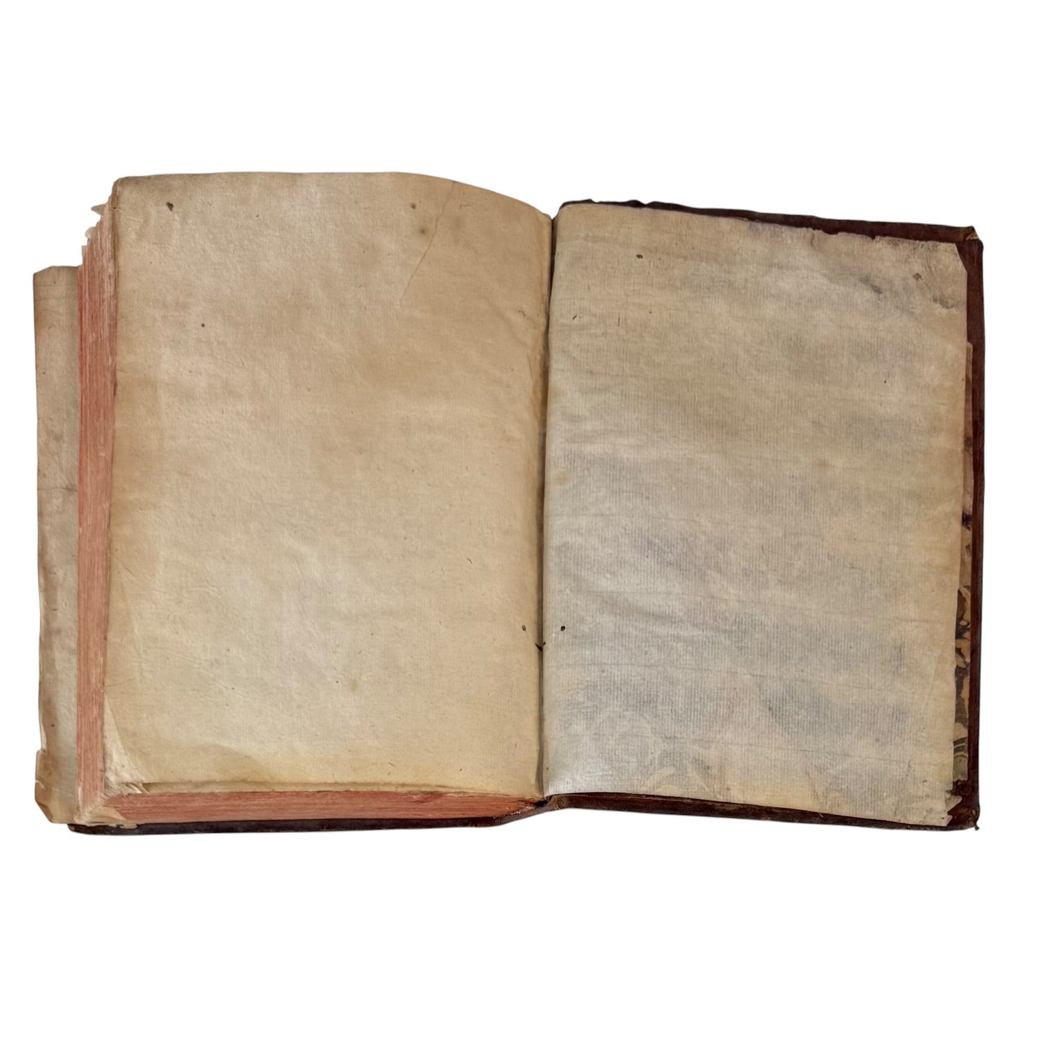 Libro Comento de P. Ovidio Nasón a los libros de Tristes y Ponto de 1733
