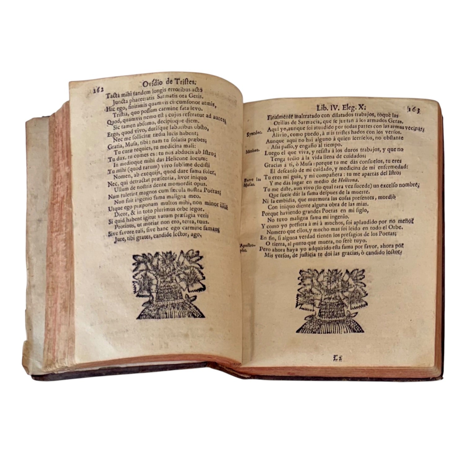 Libro Comento de P. Ovidio Nasón a los libros de Tristes y Ponto de 1733