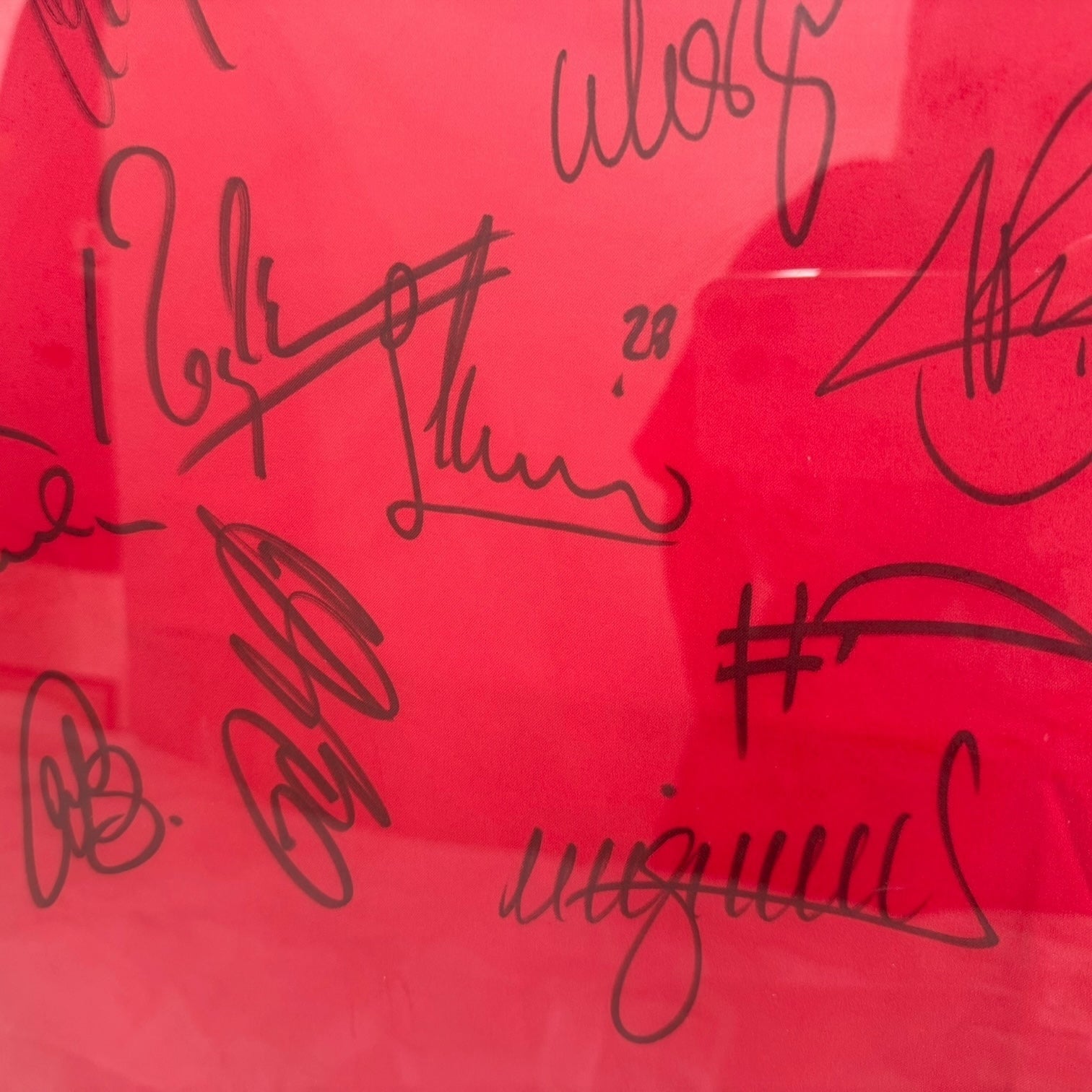 Camiseta del Manchester United con autógrafos de C. Ronaldo, Ferdinand, Van Nistelrooy, Giggs, Keane, Scholes, etc… originales certificados.