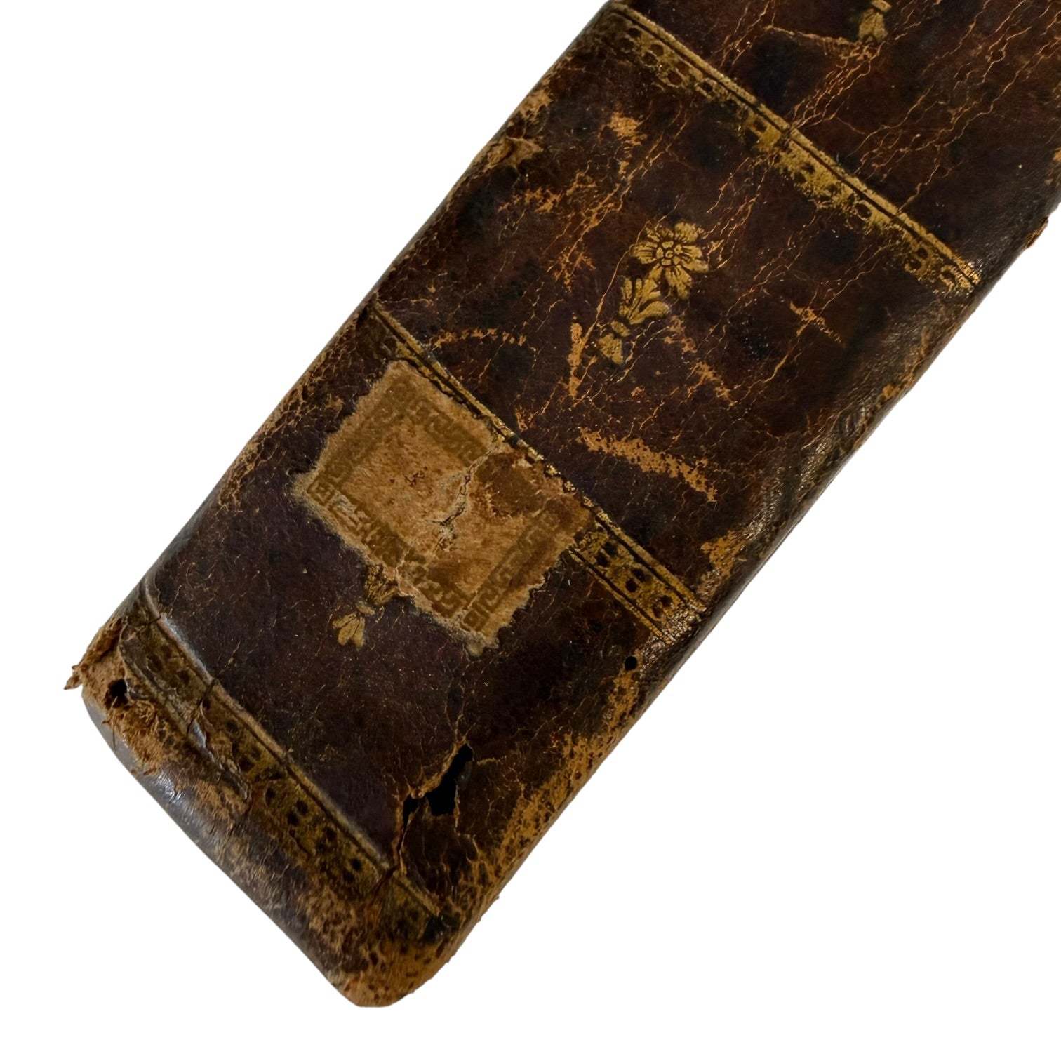 Libro Comento de P. Ovidio Nasón a los libros de Tristes y Ponto de 1733