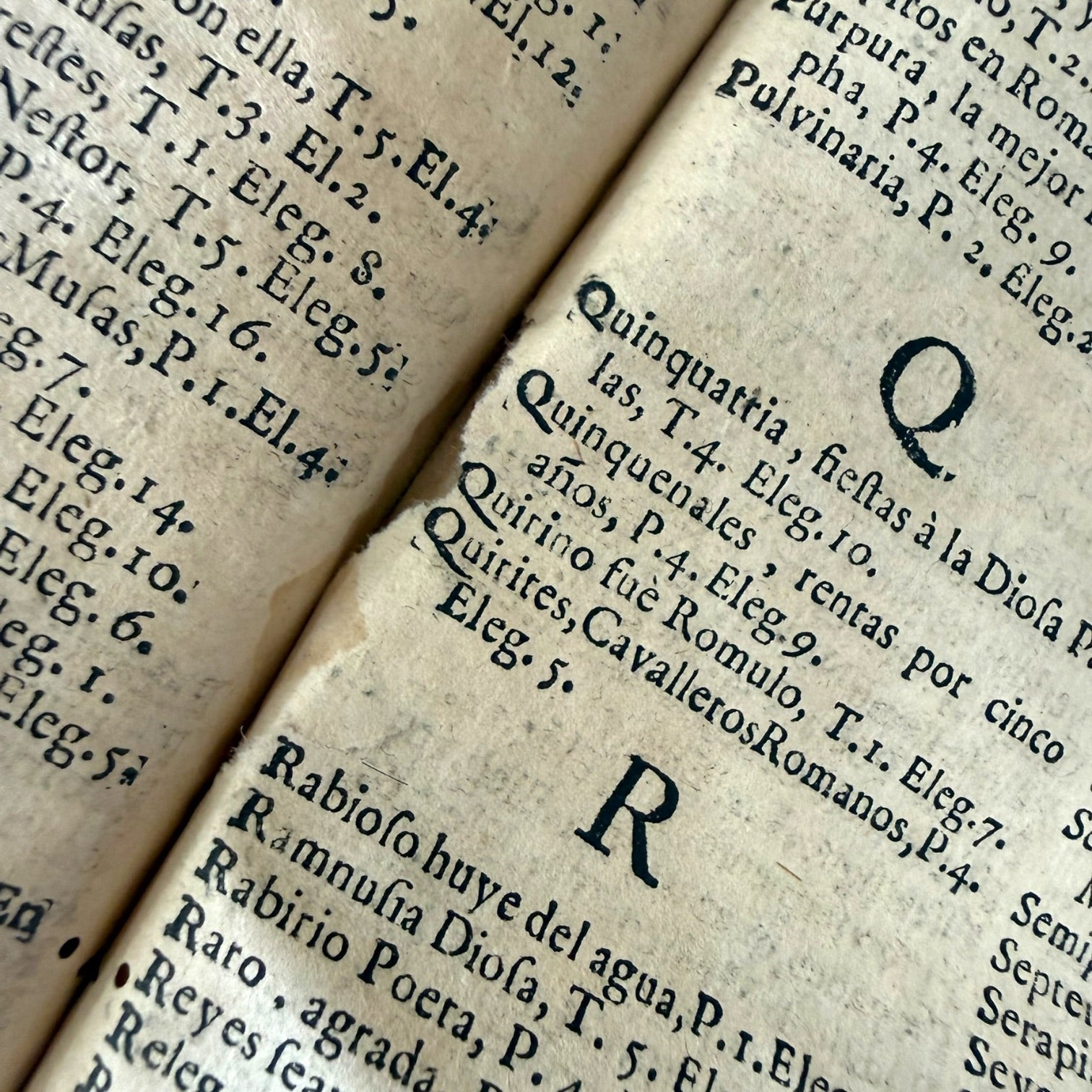 Libro Comento de P. Ovidio Nasón a los libros de Tristes y Ponto de 1733